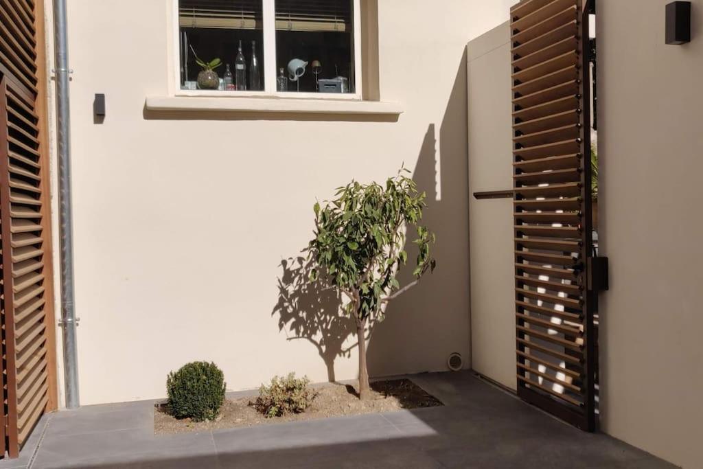 La Maison De Colette - Coeur De Village Cuxac-dʼAude Екстериор снимка